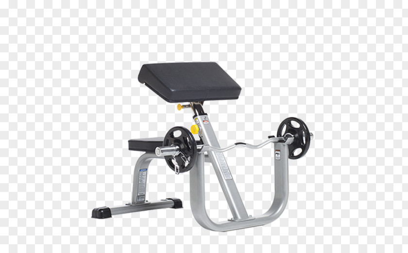 Weight Machine Bench Biceps Curl Exercise Power Rack PNG