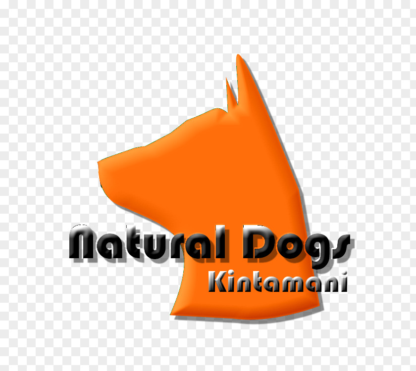 American Indian Logo Dog MJ First Aid Training Brand PNG