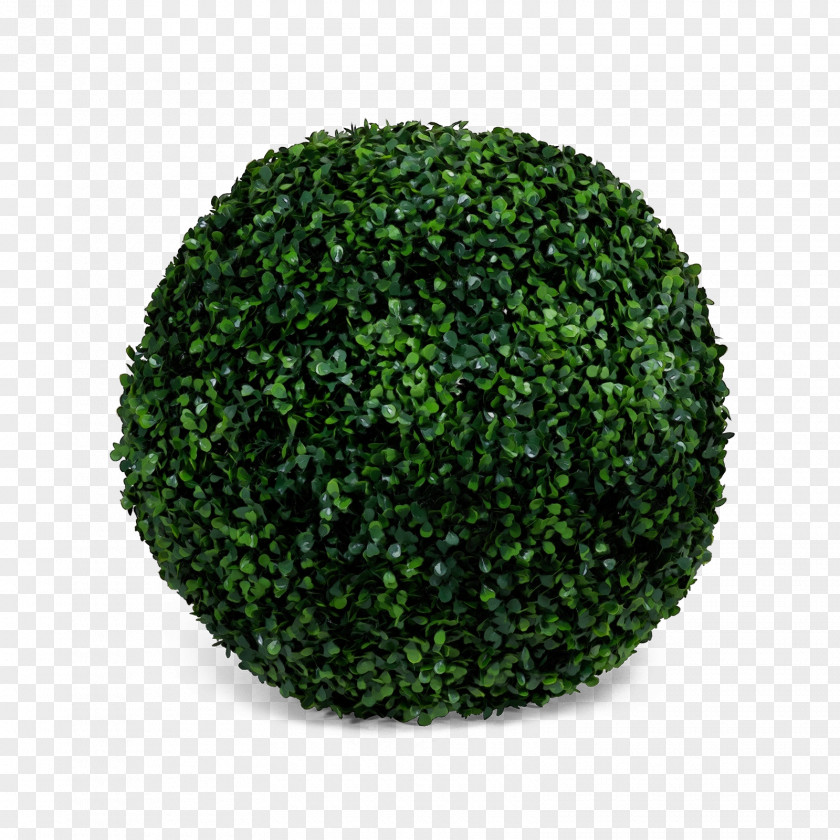 Green Grass Plant Shrub Ball PNG