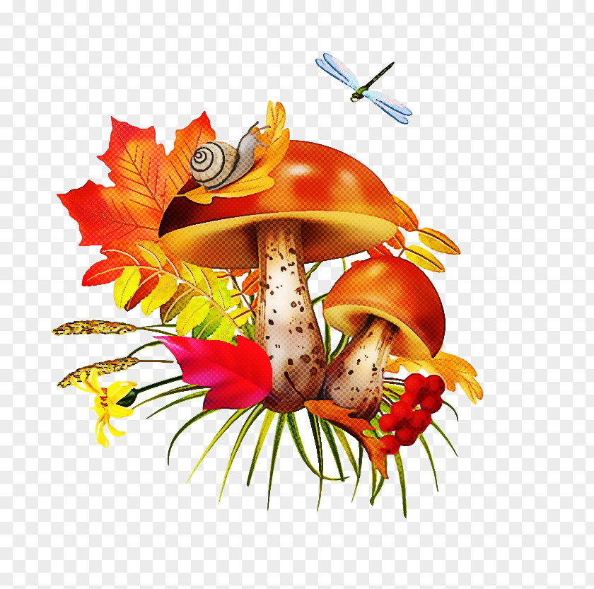Mushroom Hermit Crab PNG