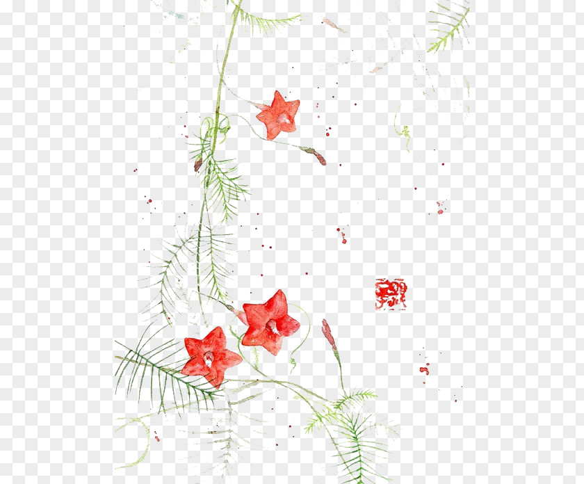 Red Star Flower Watercolor Painting Chinese Art Illustration PNG