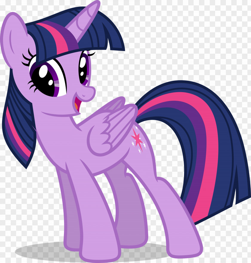 Sparkle Twilight Rainbow Dash Pony Pinkie Pie DeviantArt PNG