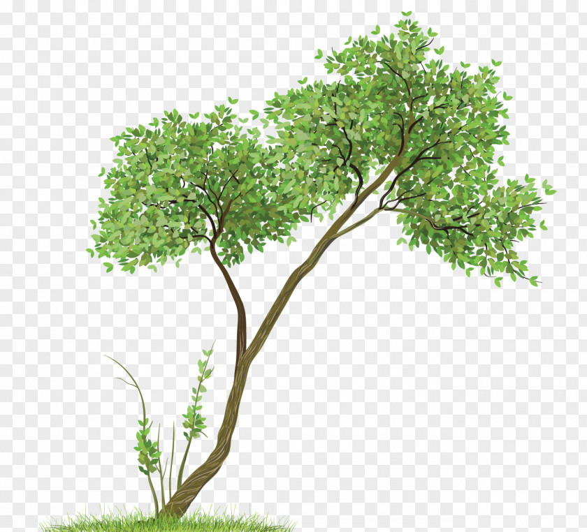 Transparent Tree Clipart Image File Formats Clip Art PNG