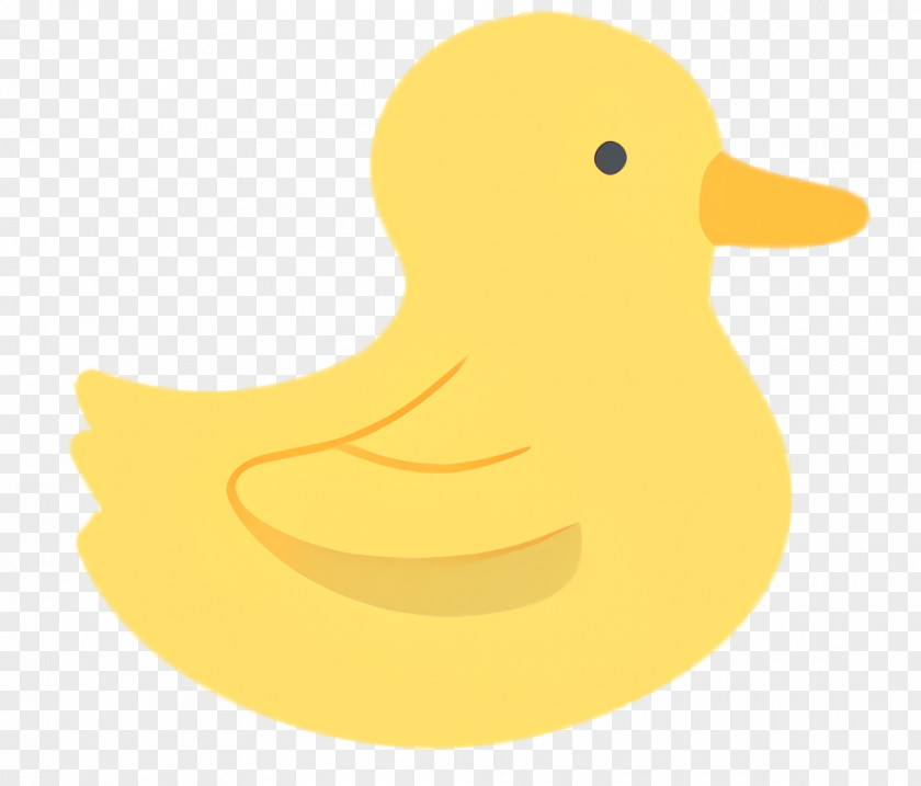 Water Bird Ducks Geese And Swans Background PNG