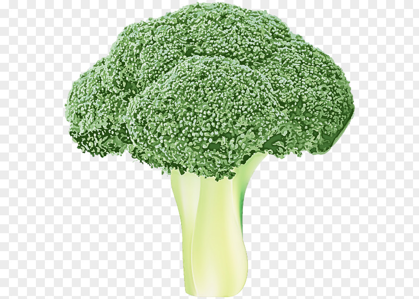 Broccoli Leaf Vegetable Green Wild Cabbage PNG