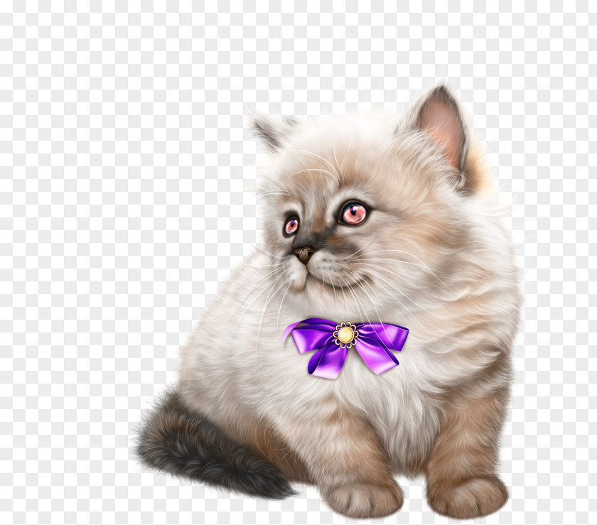 Cat Kitten Clip Art Image Dog PNG