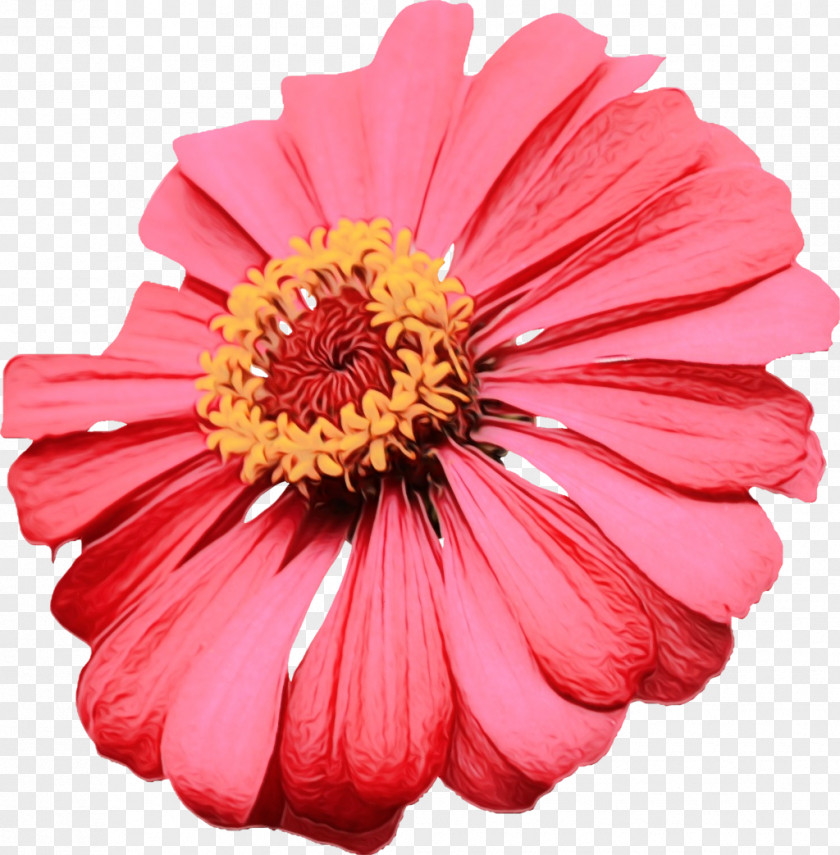 Clip Art Image Vector Graphics Flower PNG