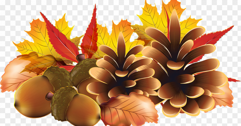Golden Autumn Clip Art Image Graphic Design Desktop Wallpaper PNG