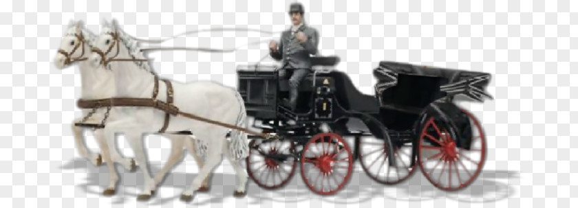 Horse Harnesses Carriage Wedding And Buggy PNG