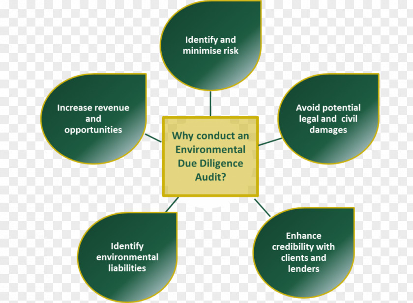 Natural Environment Due Diligence Environmental Audit Organization PNG