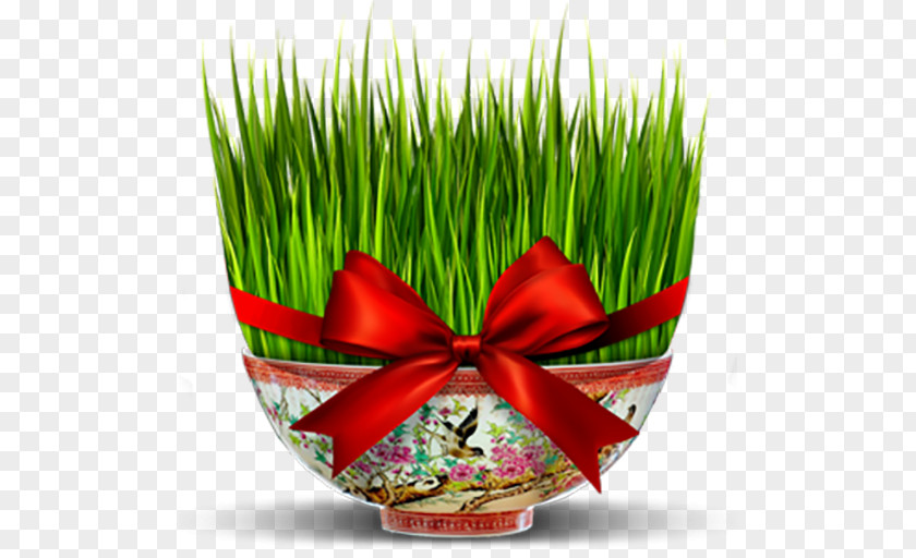 Nowruz Iran New Year Holiday Greetings PNG