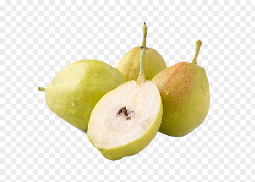 Pear Fruit Korla Asian Pyrus Nivalis Crisp PNG