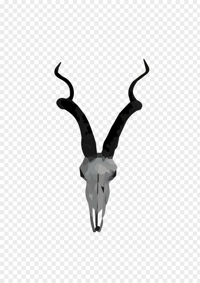 Antelop Vector Sable Antelope Springbok Impala Gazelle PNG