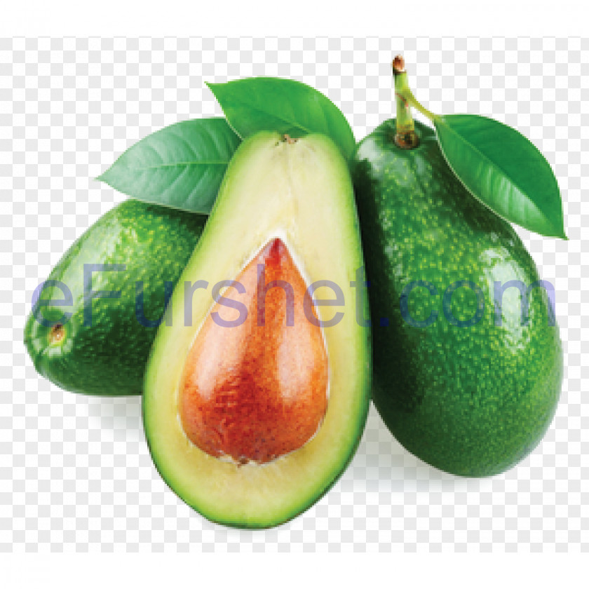 Avocado Nutrient Fruit Flavor Nutrition PNG