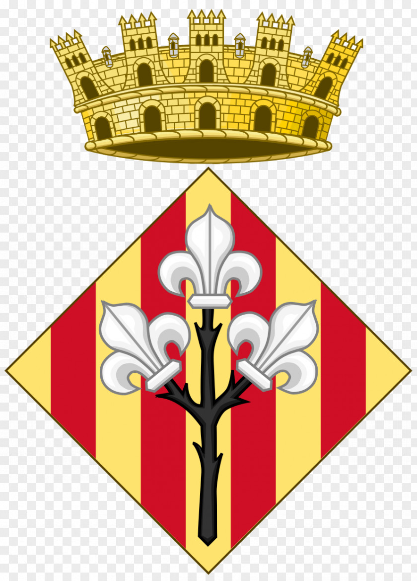 Coat Of Arms Lleida The Crown Aragon PNG