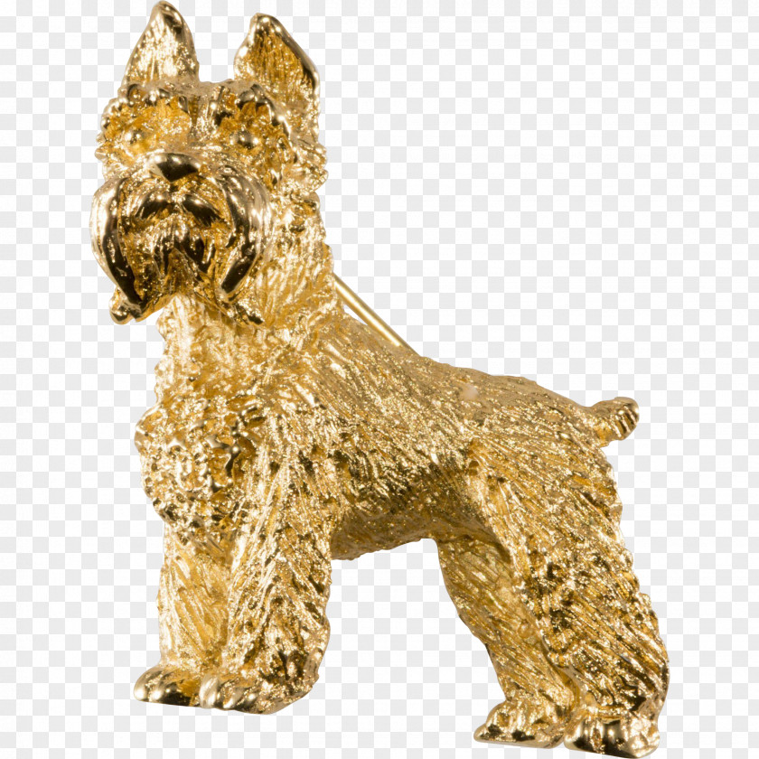 Irish Terrier Cairn Dog Breed Canidae PNG