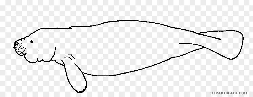 Manatee /m/02csf Ear Line Art Carnivores Glasses PNG