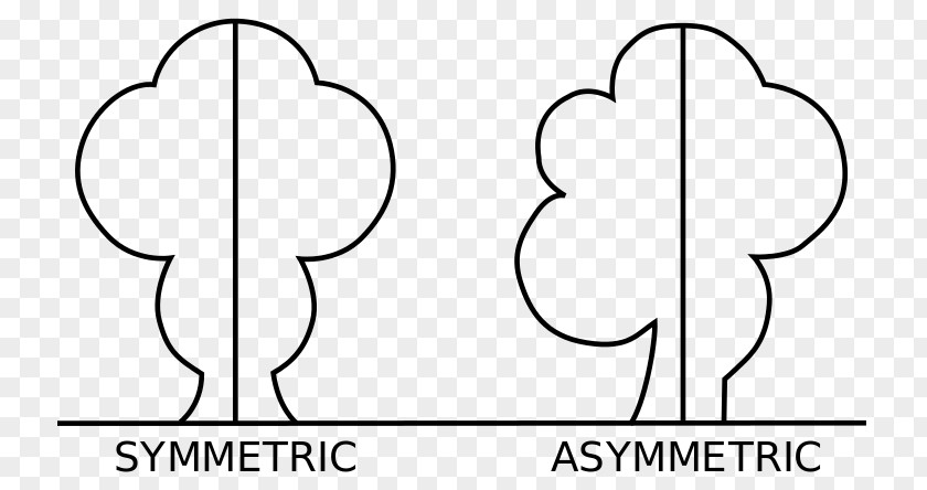 Shape Reflection Symmetry Asymmetry Mathematics PNG