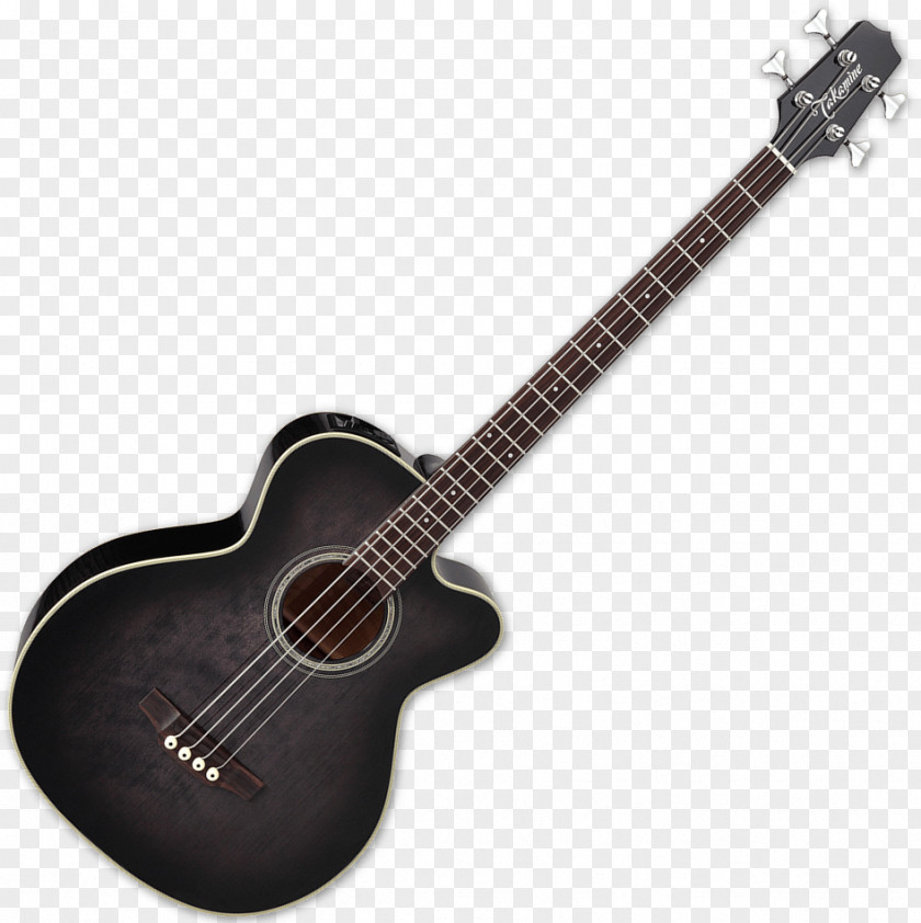 Acoustic Twelve-string Guitar Acoustic-electric Bass PNG