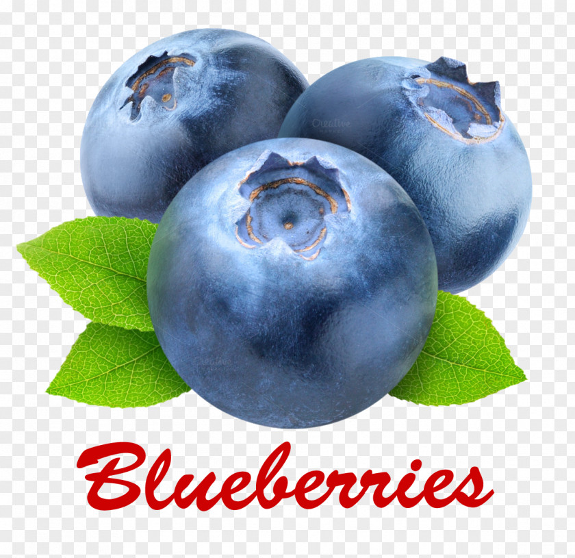 Blueberry European Bilberry Tiramisu Food PNG