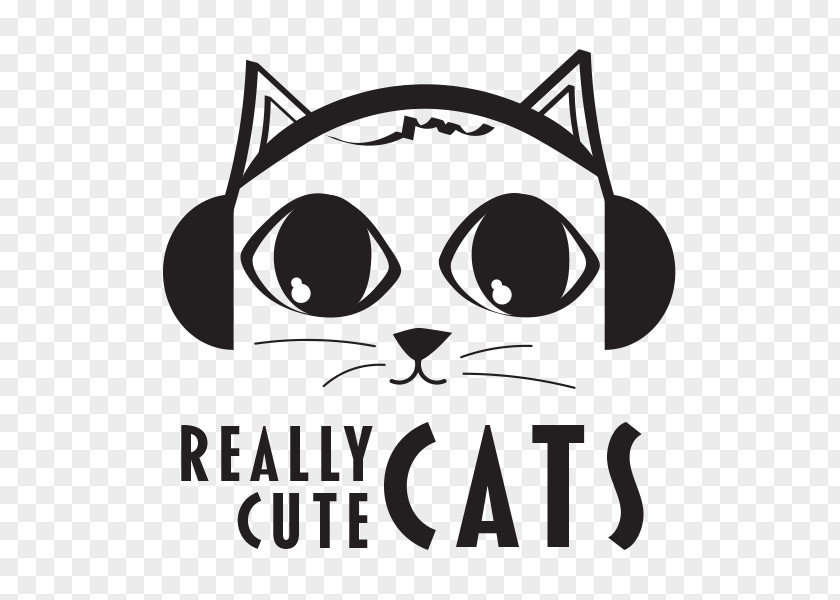 Cat Whiskers Really Cute Cats Pit Bull Rottweiler PNG
