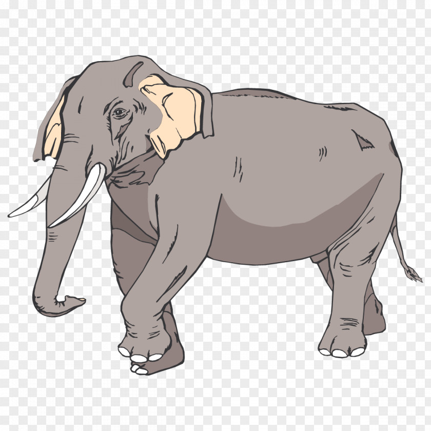 Elephants Asian Elephant Clip Art PNG