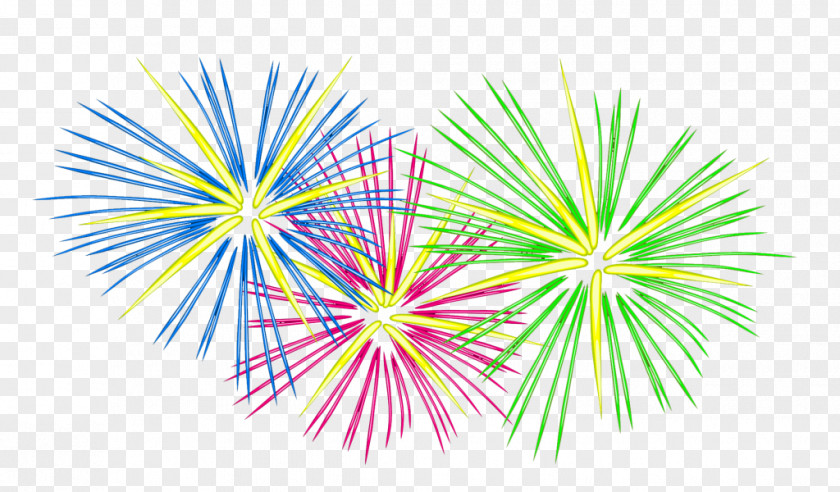 July Fireworks Cliparts Clip Art PNG
