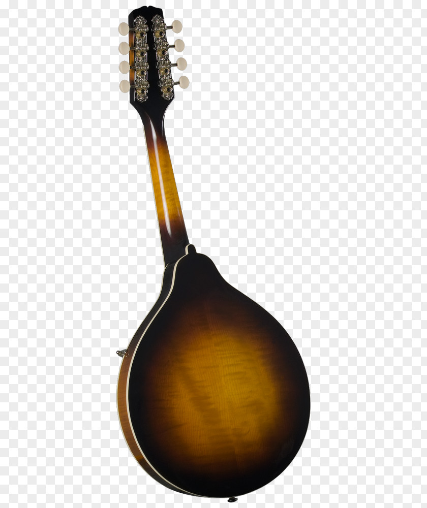 Musical Instruments Mandolin Sunburst F-lyuk Acoustic-electric Guitar PNG