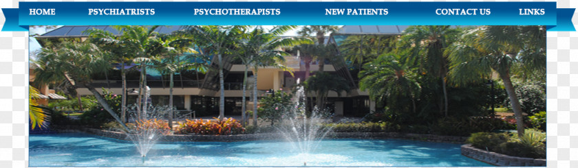 Boca Raton Psychiatric Group Psychiatrist Psychiatry Mental Health Professional PNG