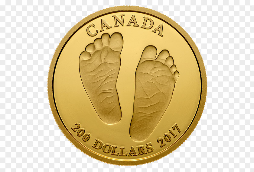 Coin Dublin Gold Finger Holophyly PNG