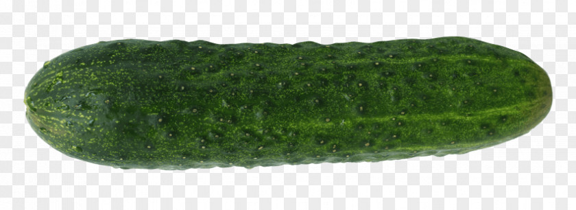 Cucumber Pickled Green PNG