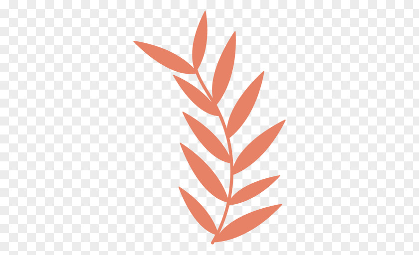 Leaf Wreath Drawing PNG