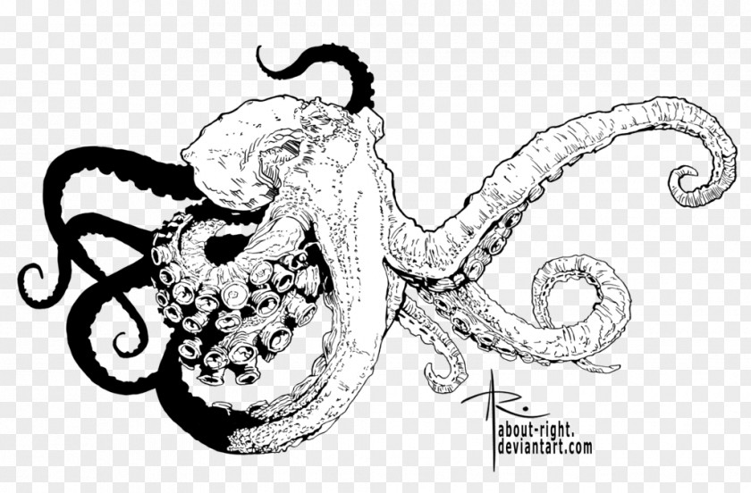 Octopus Drawing Line Art Visual Arts PNG