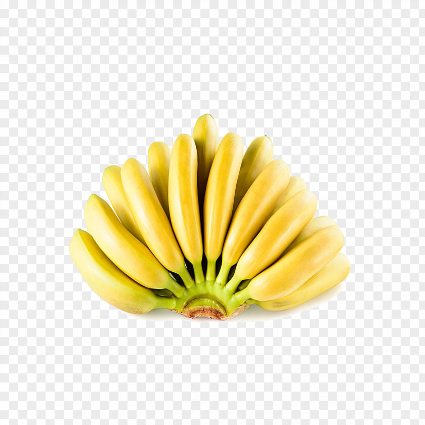 A Banana Ecuador Lady Finger Fruit Peel PNG