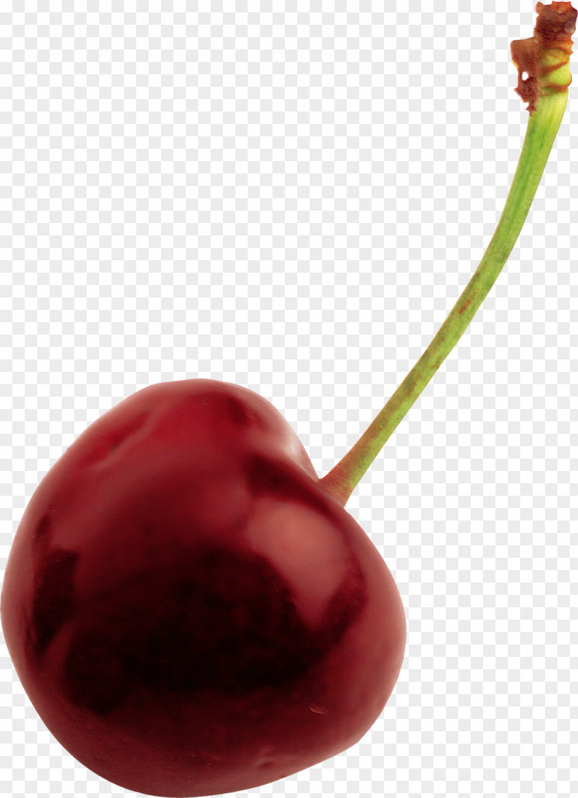 Cherry Sweet Cerasus Berry PNG