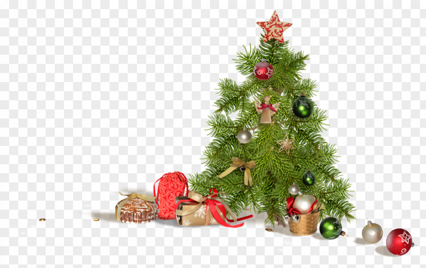 Conifer Spruce Christmas Ornaments Decoration PNG