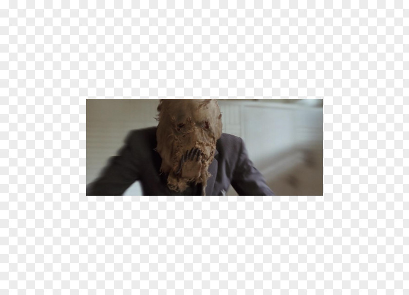 Joker Batgirl Scarecrow Snout Fur Cillian Murphy PNG