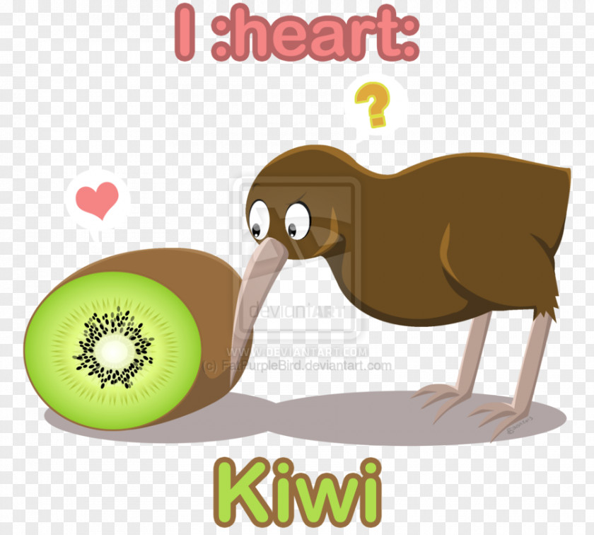 Kiwi Bird Cat Flightless Animal Mammal Carnivora PNG