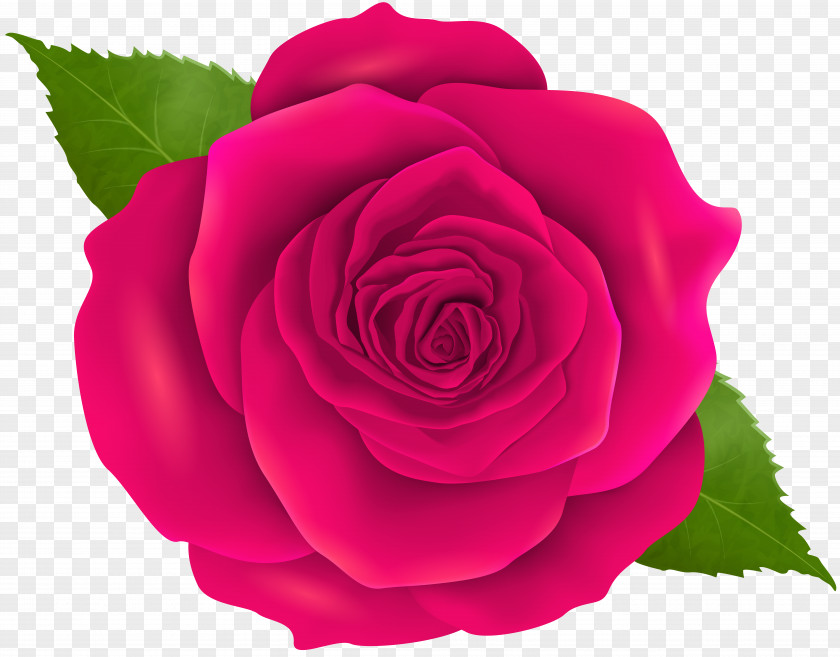 Pink Rose Transparent Clip Art Blue Flower Bead PNG