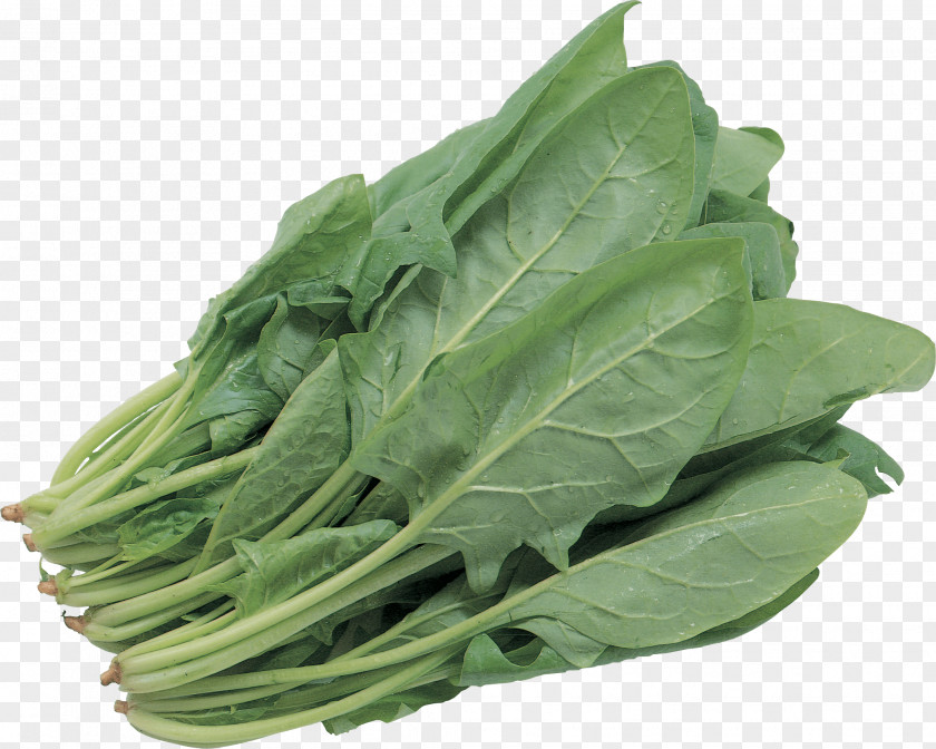 Salad Image Spinach Palak Paneer Lettuce PNG