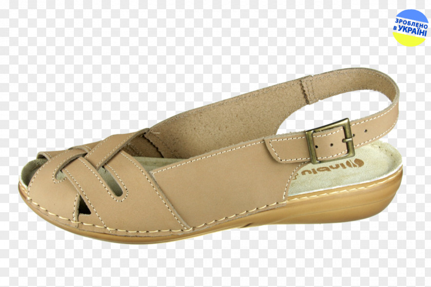 Sandal Slide Product Design Shoe PNG