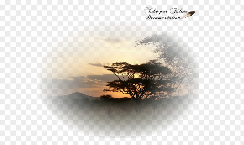 Sunset Dreams Serengeti Création Graphique Landscape Desktop Wallpaper Book PNG