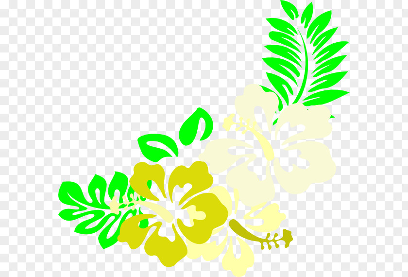 Dynamic Vector Hawaiian Hibiscus Line Art Clip PNG