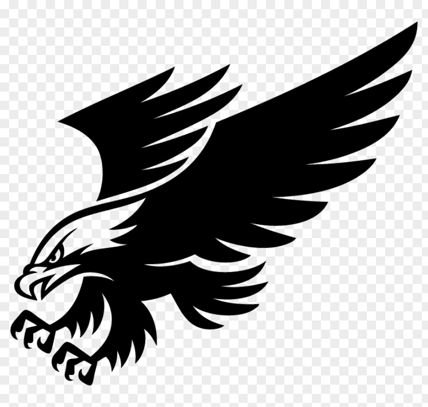 Eagle Bald Bumper Sticker Wall Decal PNG