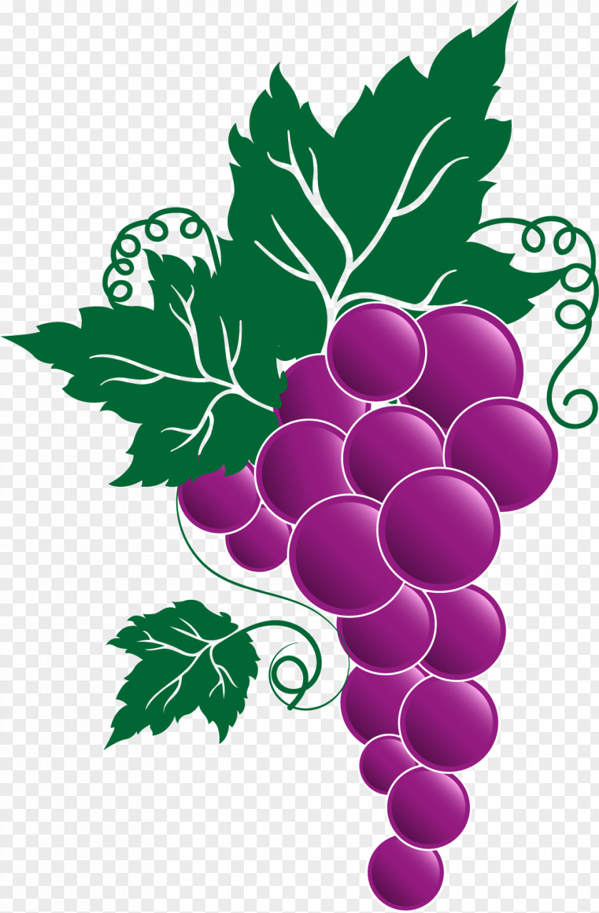 Grapes Wine Beer Italian Cuisine Theatre Drive Self Storage Grape PNG