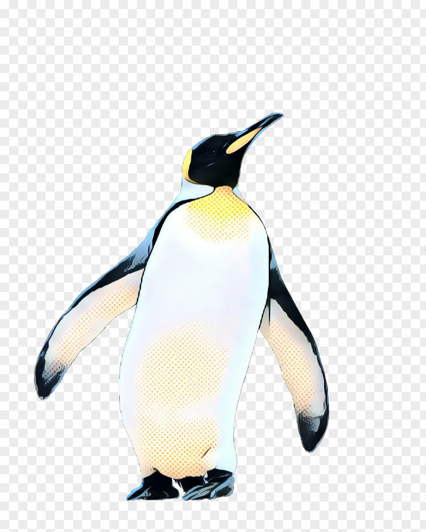 Penguin Stock Photography Royalty-free Image Stock.xchng PNG