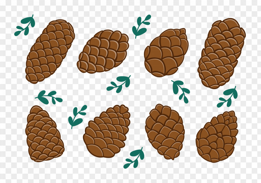 Pine Cone Conifer Tree PNG