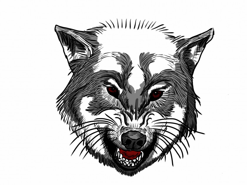 Wolf Gray Drawing Anger PNG