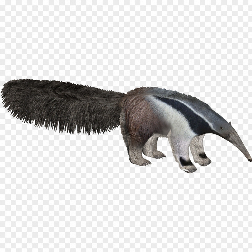 Ants Giant Anteater Zoo Tycoon 2 Animal PNG