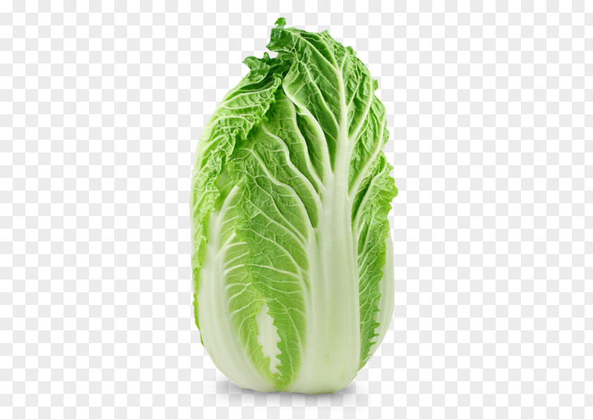 Cabbage Chard Chinese Cuisine Savoy Choy Sum PNG